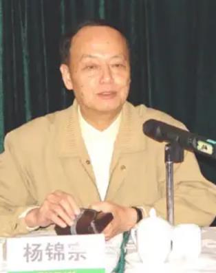 杨锦宗