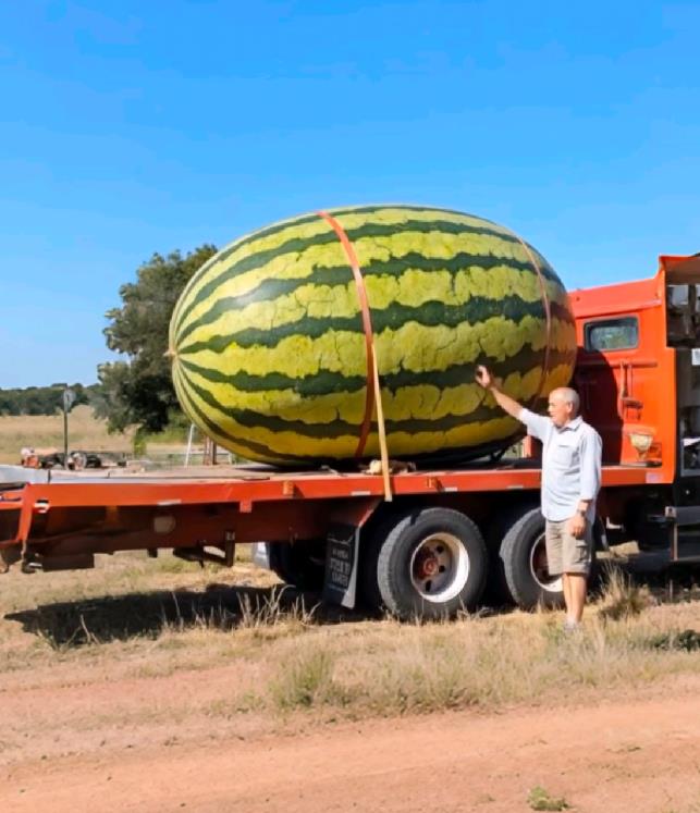 世界上最大的西瓜