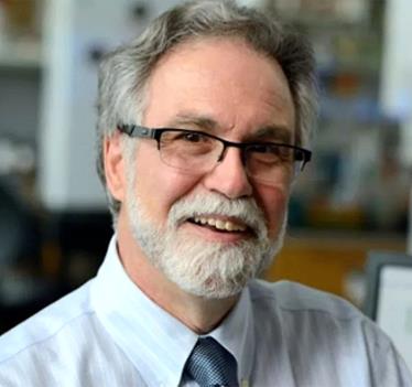 格雷格·L·塞门扎（Gregg L. Semenza）