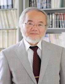 大隅良典（Yoshinori Ohsumi）