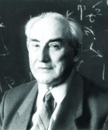 维塔利·金兹堡