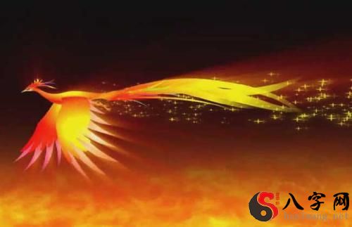 梦见凤凰翩翩起舞