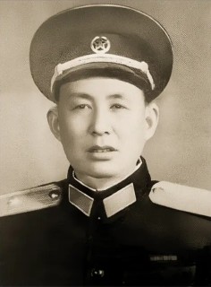 张向善